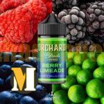 جویس میکس بری لیمو فایو پانز <br><span>Five Pawns Berry Limeade</span> - Image 2